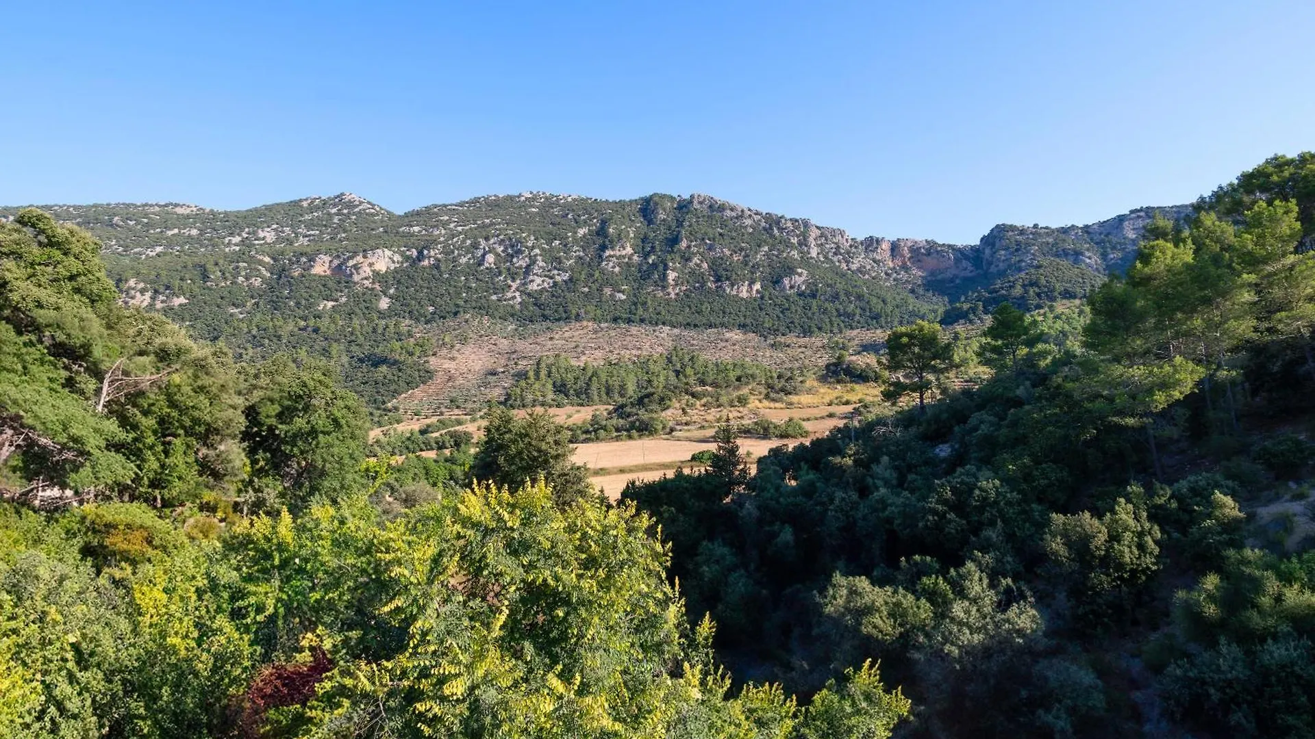 Ca Ses Caretes Villa Orient Spain